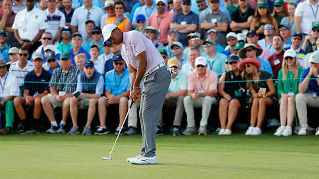 tiger-effect-augusta.jpg