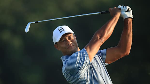 tiger-playing-bmw.jpeg