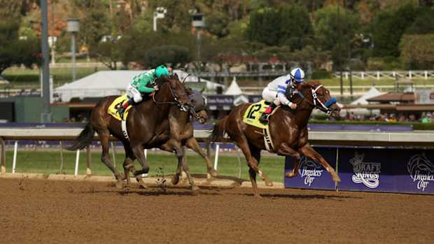 santa-anita-racetrack-horse-deaths.jpg