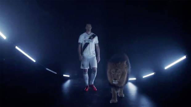 la-galaxy-zlatan-ibrahimovic-announcement-lion.jpg