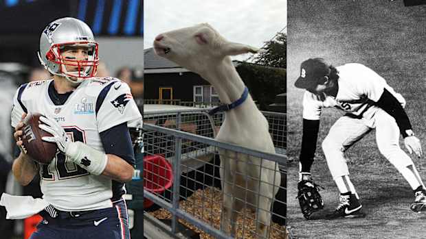 goat-sports-greatest-of-all-time.jpg