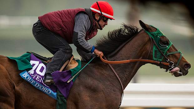 kentucky-derby-horse-named-bolt.jpg