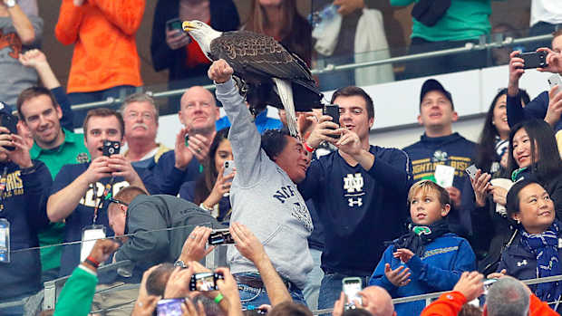 cotton-bowl-eagle-lands-notre-dame-fan.jpg