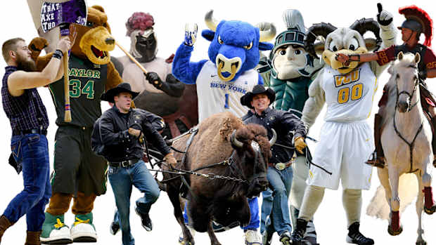 mascot banner.jpg