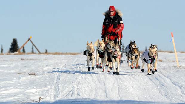iditarod-zirkle-lead.jpg