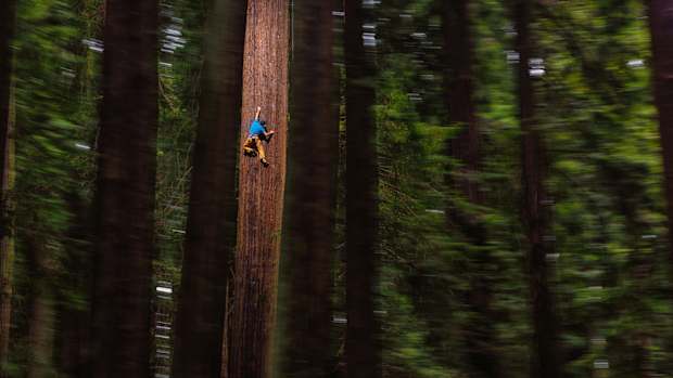 chris-sharma-freeclimbing-redwood-great-ascent-960.jpg