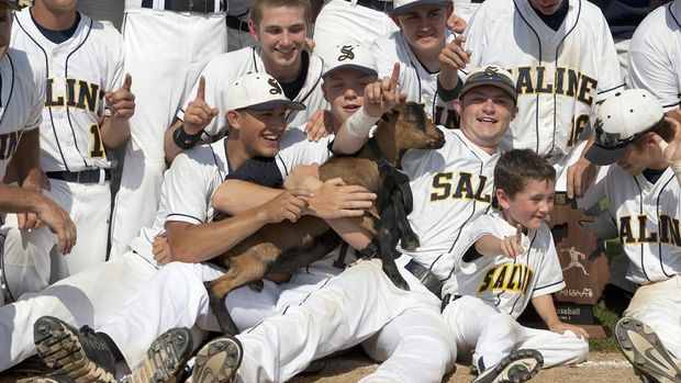 salinegoat.jpg