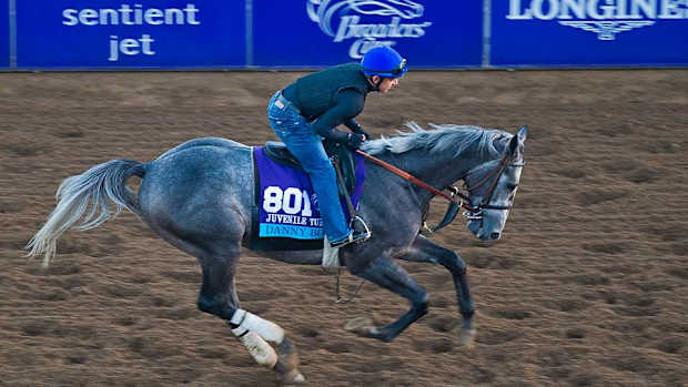 Danny Boy Breeders' Cup