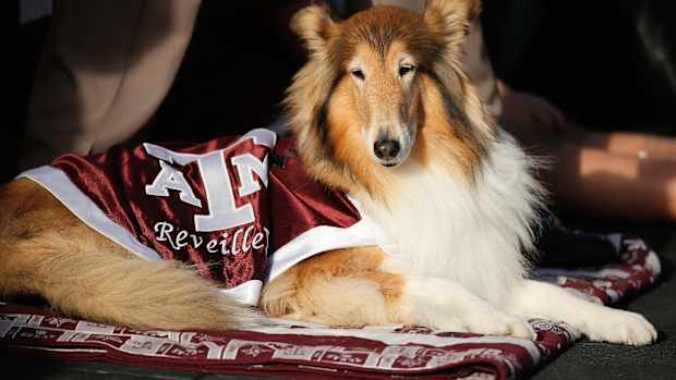 Aggies mascot