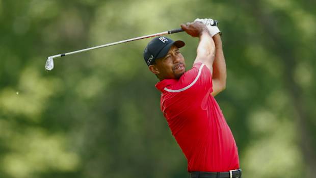 woods1.jpg