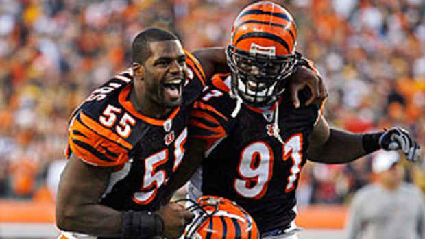 bengals.jpg