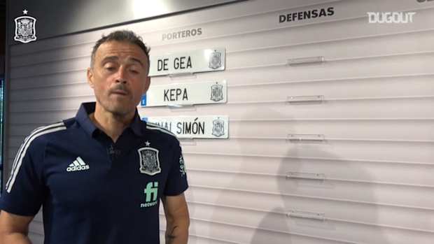 Luis Enrique uses car number plates to announce Spain squad
