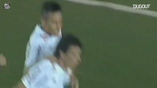 All Santos' goals from 2011 Libertadores title campaign