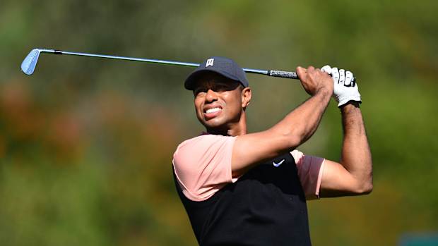 tiger woods 2