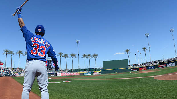 Cubs thumb