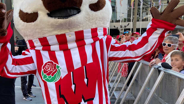 Bucky Badger