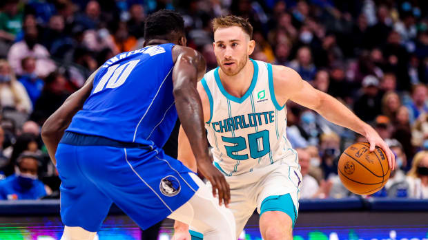 hornets