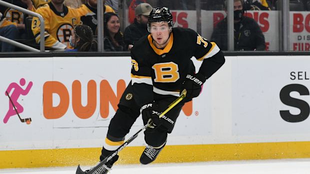 boston bruins