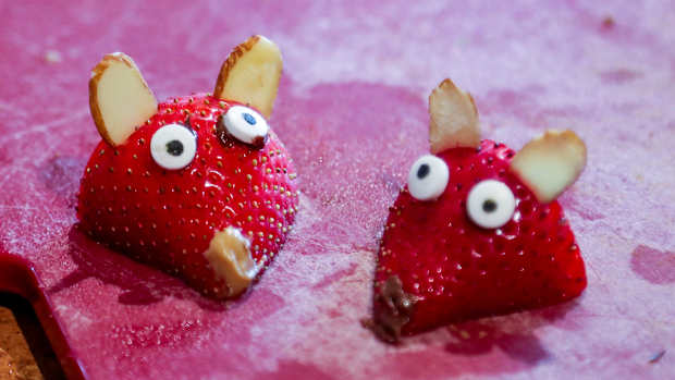 Razorback strawberries