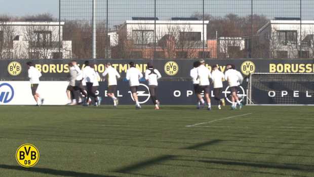 BVB stars prepare for Mainz
