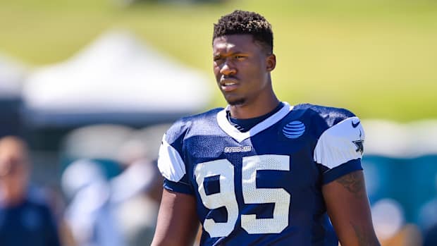 Cowboys - David Irving