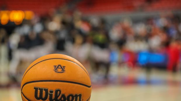 Generic Basketball image