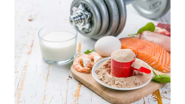dumbbell-and-protein-sources-milk-shrimp-egg-salmon-chicken-beef