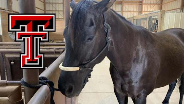 texas tech red raiders masked rider