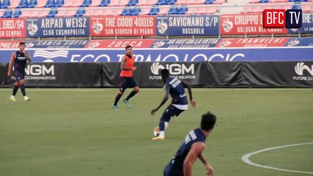 Bologna gear up at the Stadio dall'Ara