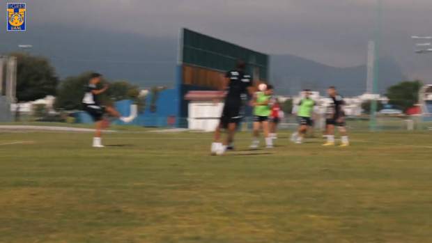 Tigres prepare for game vs Dallas