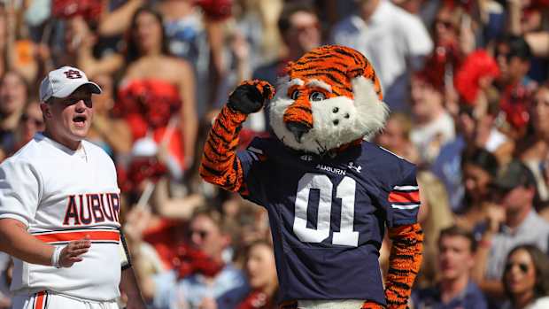 Aubie the Tiger vs the Missouri Tigers