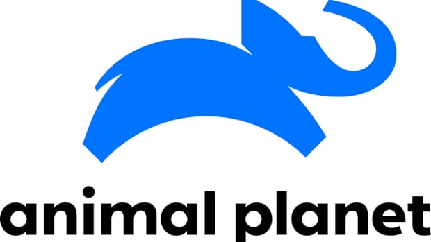 animal planet