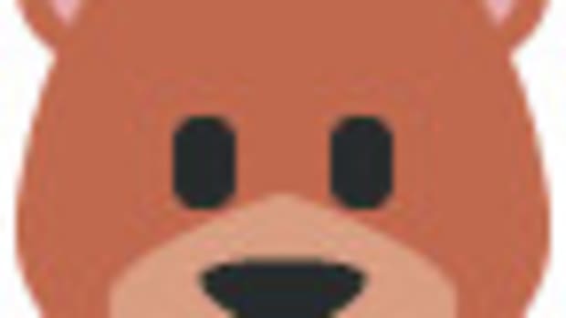 🐻
