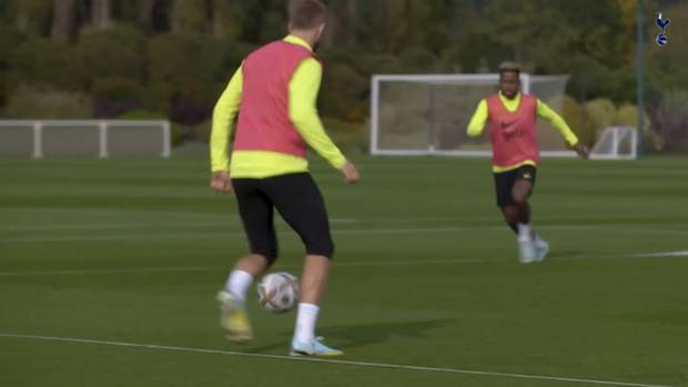 All you need to know: Tottenham Hotspur v Newcastle United