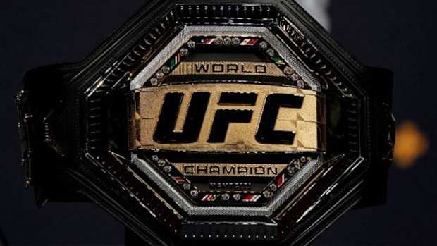 UFC Champion Boxing