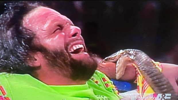 randy-savage