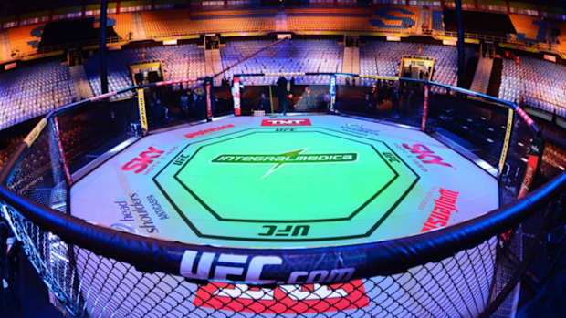 UFC 301