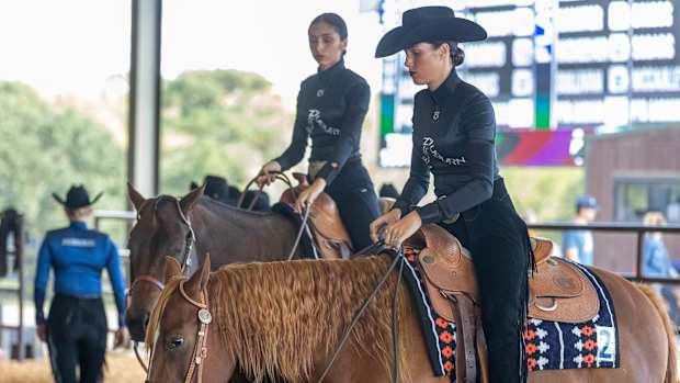 Auburn Equestrian
