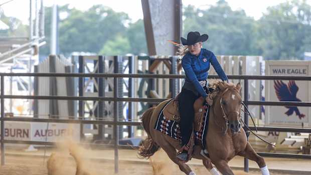 Auburn Equestrian