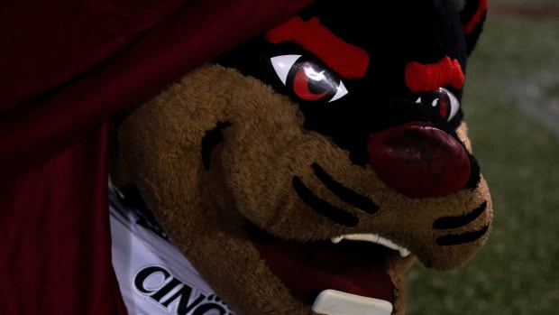 Cincinnati Bearcats mascot hangs out on the field in the fourth quarter of the NCAA football game between the Cincinnati Bearcats and the Houston Cougars TDECU Stadium in Houston, Texas, on Saturday, Nov. 11, 2023.