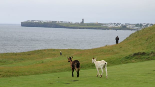 South of Ireland Amateur Open 2016 _B7E8117