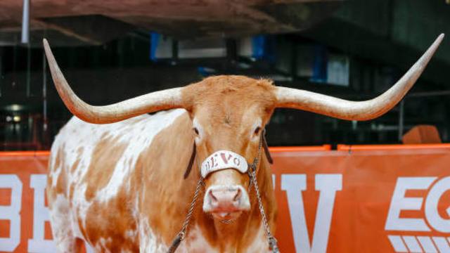 bevo