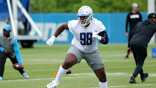 Detroit Lions defensive tackle Brodric Martin