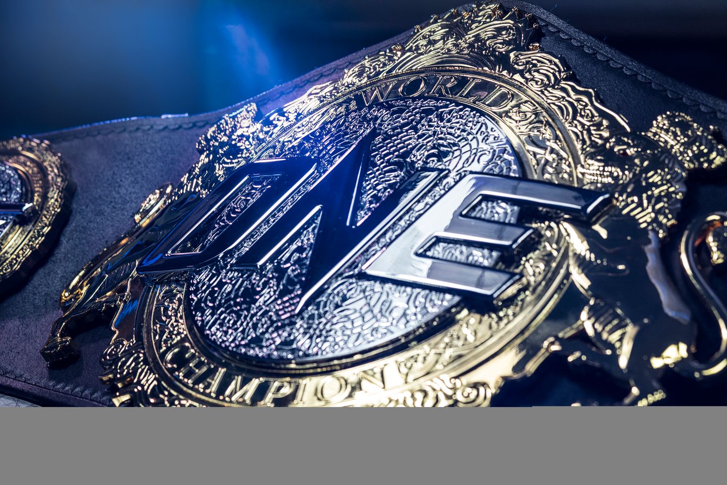ONE Championship fighter contracts will leave you speechless.