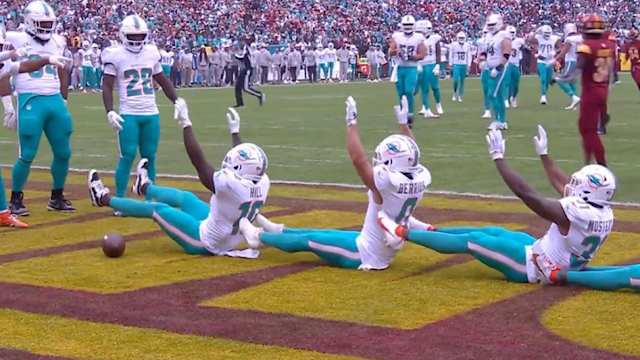 dolphins-celebration