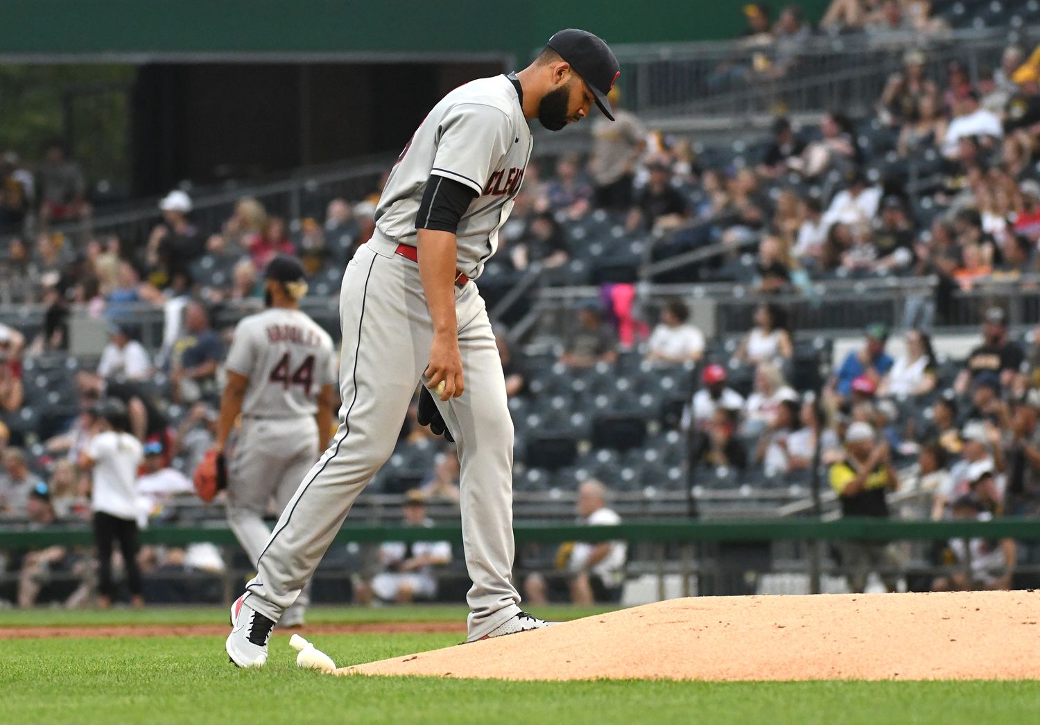 J.C. Mejia Trade
