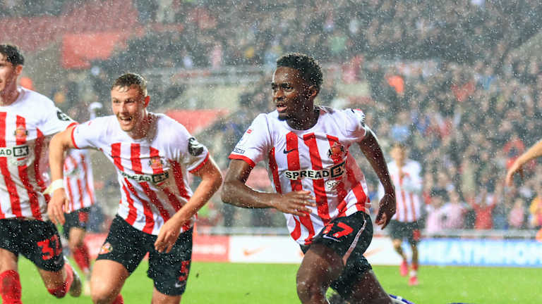 Sunderland show their quality to sting the Hornets