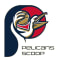 Pelicans Scoop