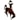 Wyoming Cowboys