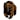 Montana Grizzlies
